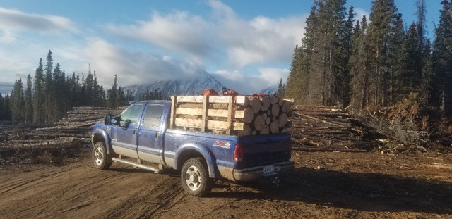 Firewood for sale! in BBQs & Outdoor Cooking in Whitehorse