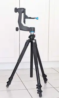 Benro GH5C carbon fibre gimbal head & Manfrotto 055XProB tripod 