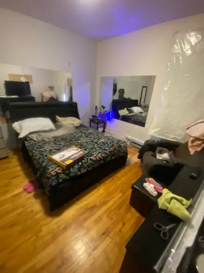 1 novembre Chambre à louer – Hochelaga-Maisonneuve (Montréal) Grande chambre à louer dans un logemen...