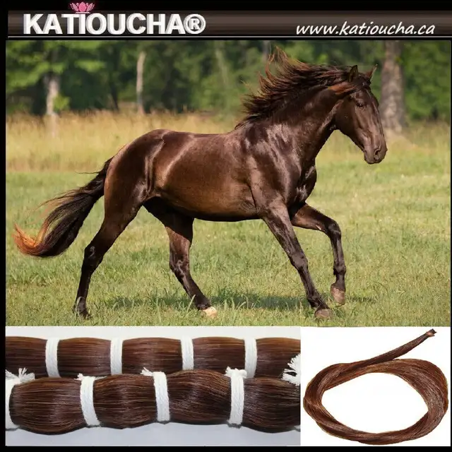 Crin de Cheval Brun Naturel 100% KATIOUCHA® - Livraison rapide in Hobbies & Crafts in City of Montréal - Image 2