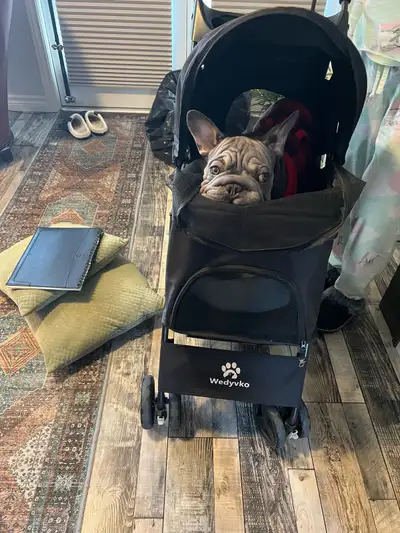 Pet stroller with convertible top., View more