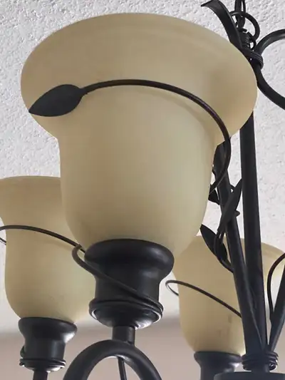 Chandelier & 10 Ceiling Lights, View more