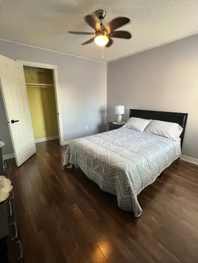 4 Rooms for Rent