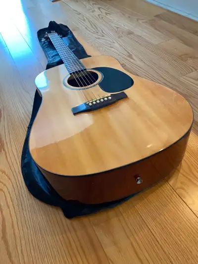 Acoustic guitar and carry bag, View more