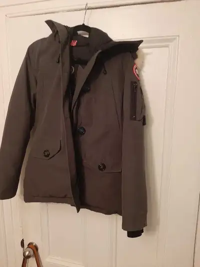 Canada goose, View more