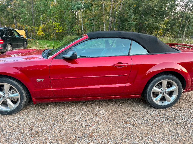 2008 ford mustang convertible gt in Cars & Trucks in St. Albert - Image 3
