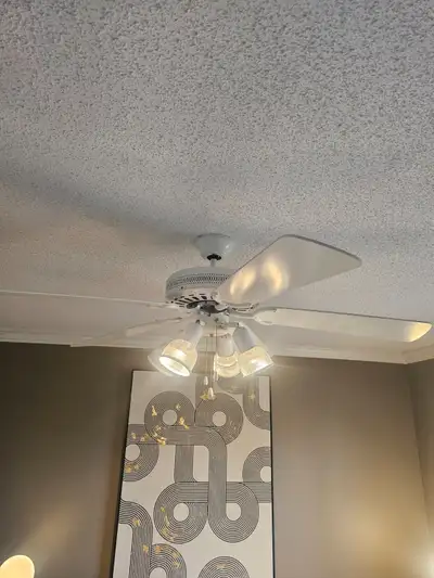 Ceiling Fans, white 5 blades 20", excellent condition, View more
