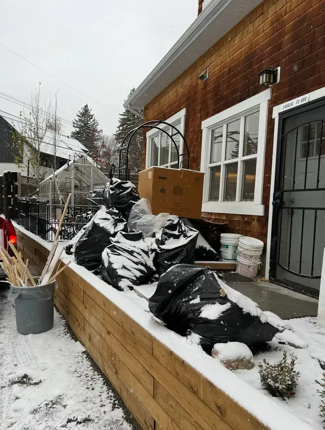 JUNK REMOVAL $20 MINIMUM598236201547868168