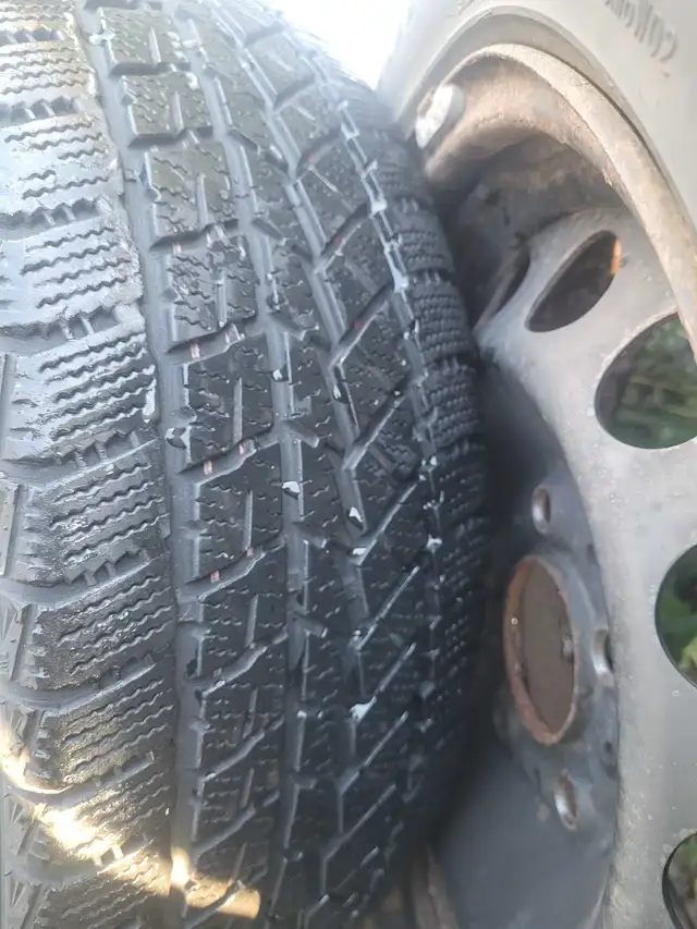 Bmw winter tires in Tires & Rims in Peterborough - Image 5
