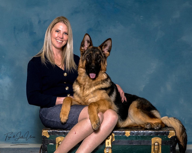 CKC Registered German Shepherds in Dogs & Puppies for Rehoming in Regina