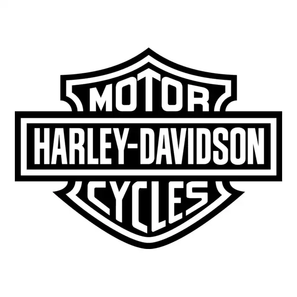 CASH TODAY: Need someone handy with 2017 Streetglide