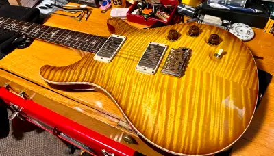 PRS Wood Library DGT BRAZ Board Roasted Maple Neck, View more