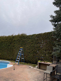 Ottawa Hedge and Tree Trimming & Removal Services