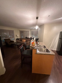 2 bedroom apartment Fully furnished. Multiple units available 