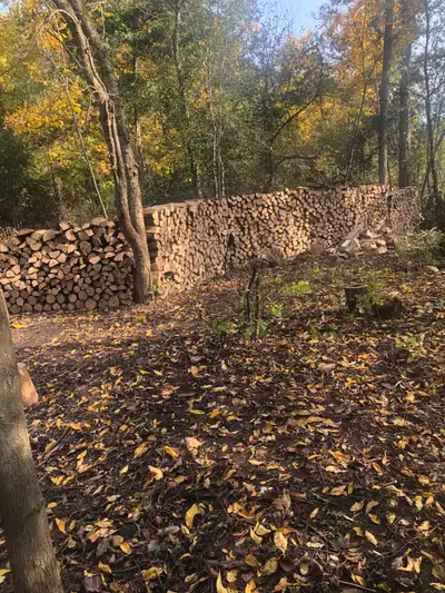 Firewood delivery and stacked , tree removal, View more