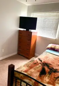 1br - Private Room Available June 1 (Scarborough)