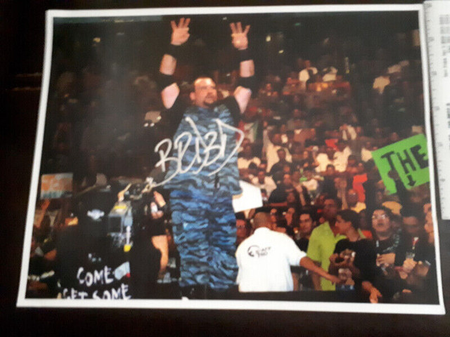 Bubba Ray Dudley signed  WWE wrestling 8 x 10 photo in Arts & Collectibles in Peterborough