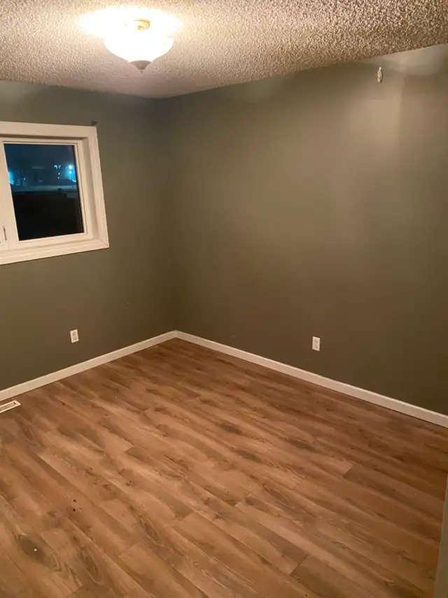 Painter+ Available505829919745658881