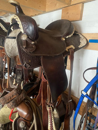 Saddles/harness