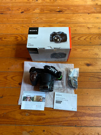 Sony Cyber-shot DSC-H300 Camera