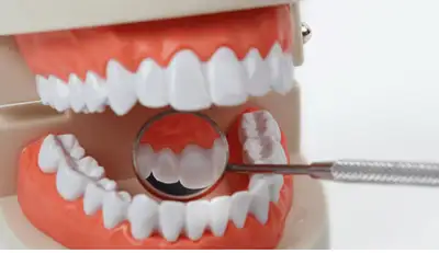 Registered Dental Assistant , View more