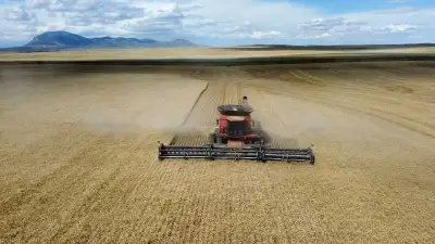 farm workers needed, View more