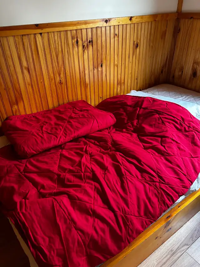 Comforters and blankets double and single $20 each in Bedding in Peterborough - Image 5