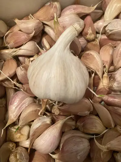 Fresh Garlic, View more