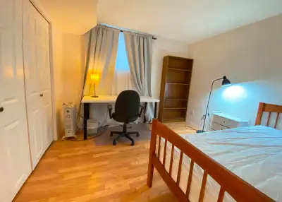 Basement Suite Next to UA