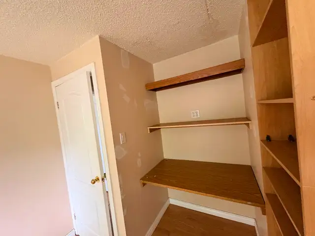 Professional Painter507645034381987845