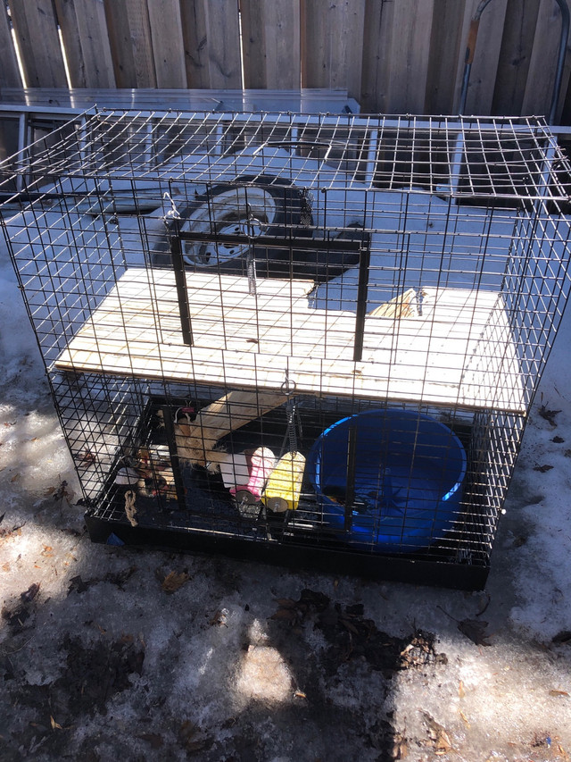 Hamster cage in Accessories in La Ronge