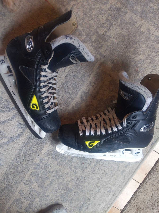 Graf supra 705 sz 10W hockey skates in Hockey in Mississauga / Peel Region - Image 2