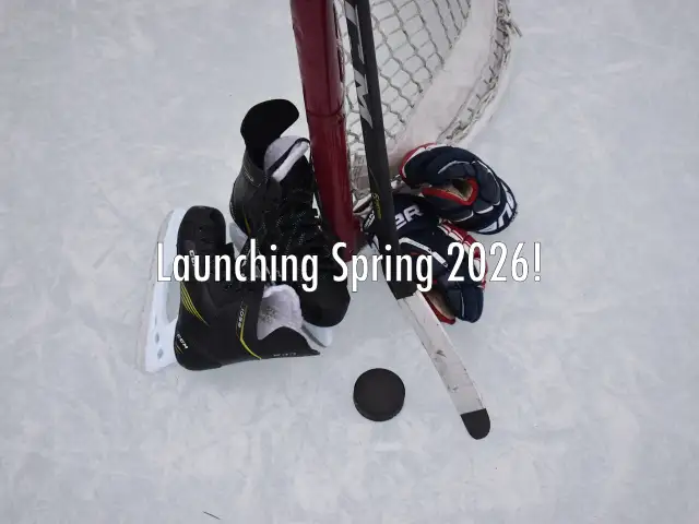 Adult Co-Ed Recreational Hockey League in Oakville in Sports Teams in Oakville / Halton Region - Image 5