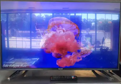 43" 4k Smart Sharp TV (33079051), View more