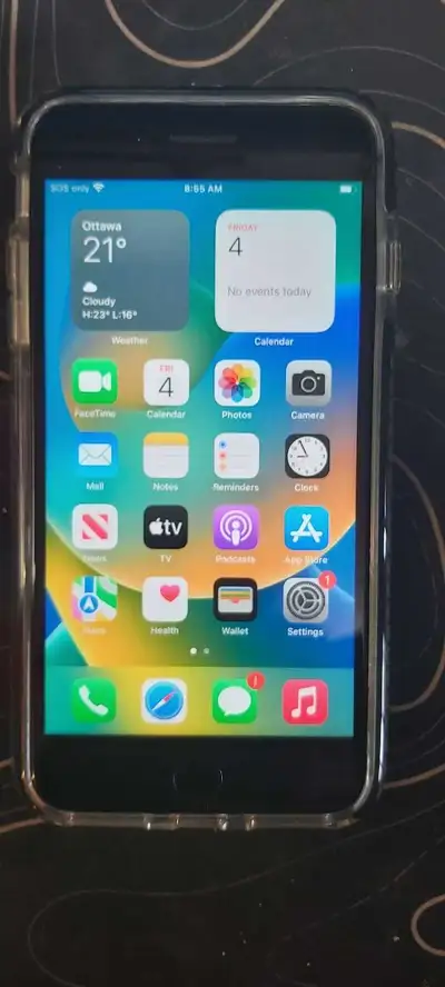 iPhone 8 Plus, 256 Gb, + charger