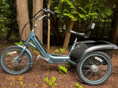 Excellent condition, sold as is. Light blue colour. Paid 5659.00 new Motor: SILVER 36V GEARED HUB MO...