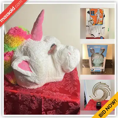 Bowmanville Downsizing Online Auction - Longworth Avenue(Feb 05), View more