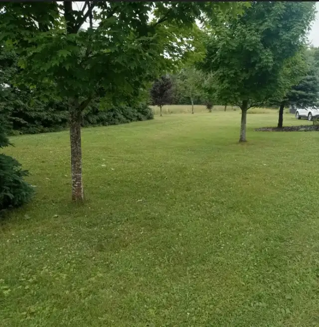 Landscaping&Spring cleanups in Lawn, Tree Maintenance & Eavestrough in Charlottetown - Image 6