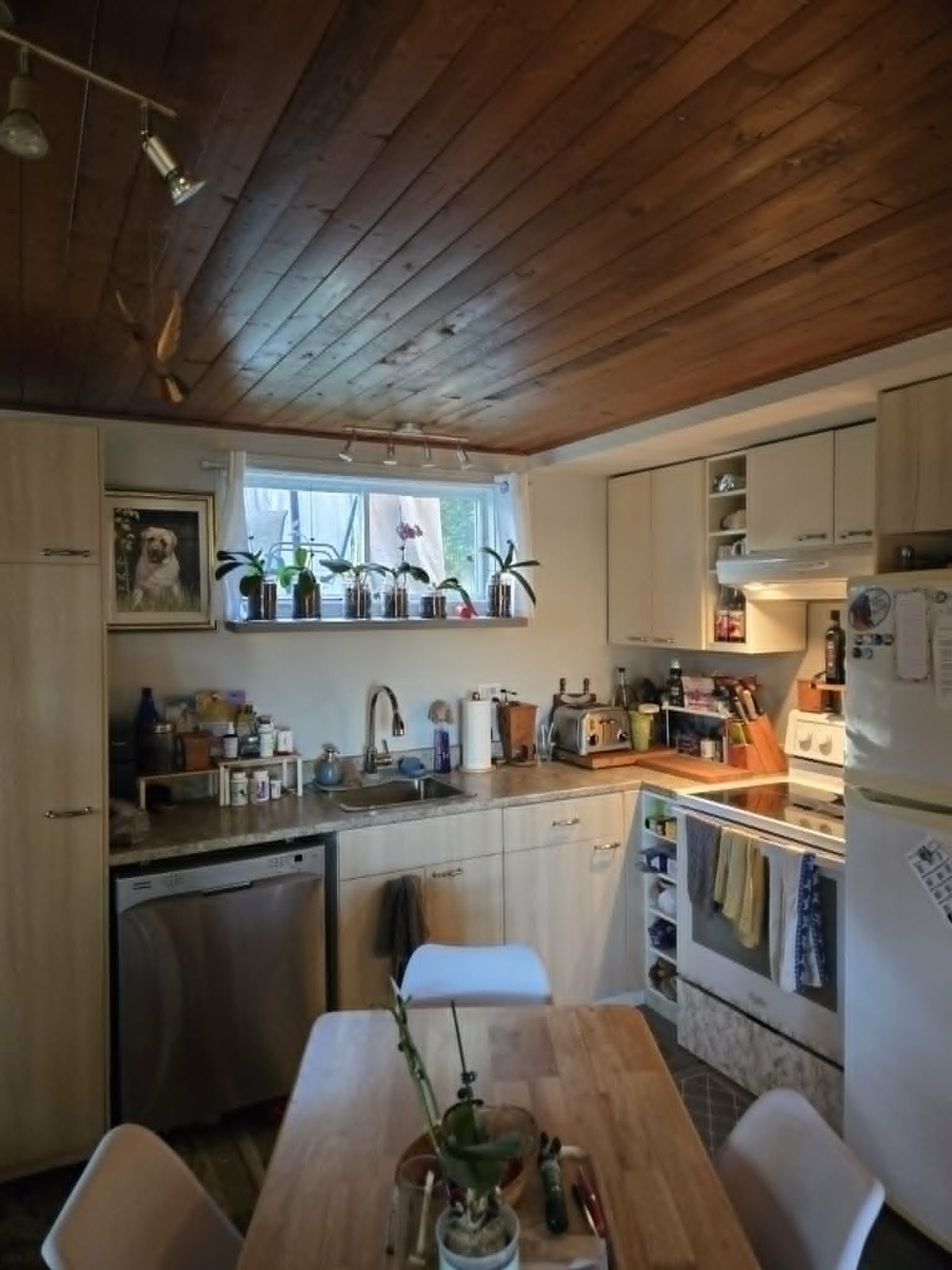 Appartement 4 1/2, Bromont, Aninaux acceptés — photo 2