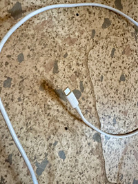Macbook Charger ( Used On A 2021 Air) 