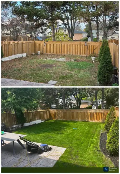 Aeration + Spring clean up, View more