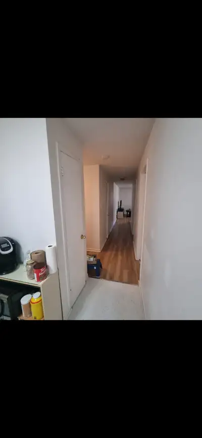 4 1/2 Spacious apartment for rent