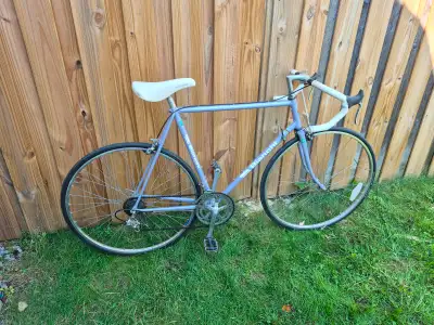 Bianchi tuned up large road bicycle (23" frame), View more
