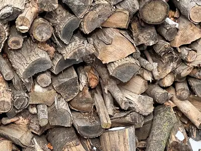 ♦️♦️♦️ FIREWOOD ♦️♦️♦️ FOR SALE ♦️♦️♦️ 50 % OFF, View more