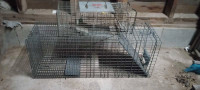 Steel live traps