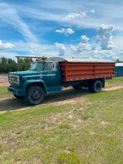 For sale in Gibbons area, 1980 C50 grain truck with chev 350 engine starts and runs great! Recent ne...