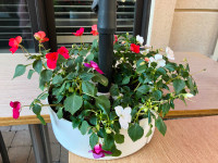 Brand new umbrella mat/small flower pot, $3, 2 for $5