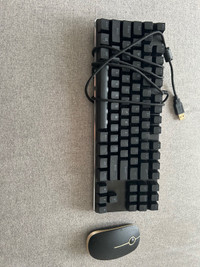 Mechanical keyboard and mouse