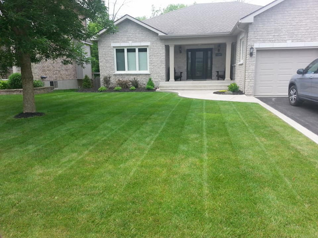 Trusted Lawn Care Services For An Affordable Price in Lawn, Tree Maintenance & Eavestrough in Kingston - Image 3