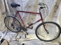 Vintage Raleigh Mountain Bike